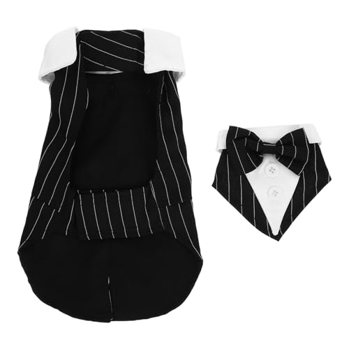 FRCOLOR pX[c ϖՐ^LV[h qpEFfBOX[c ^ p[eB[p ߉\Ȍ