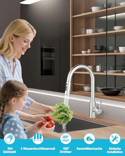 Küchenarmatur, Hochdruck Wasserhahn Küche Ausziehbar, Drei Strahlarten mit Küchenarmaturen, 360°-Drehbare Wasserhahn küche, Edelstahl-Armatur Küche(Edelstahl Gebürstet)
