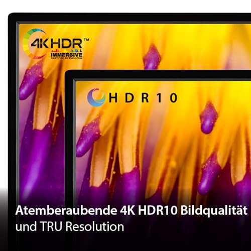 Toshiba 43UF3D63DA Téléviseur 43 Pouces Fire TV 4K Ultra HD HDR Dolby Vision Smart TV Triple Tuner Alexa Built in - vue 6