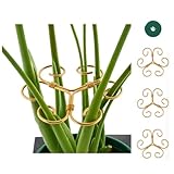 DHGKVK 4X Pflanzenstütze,pflanzenhalter für Blumen, Rosen, Tomaten - Monstera Rankhilfe und Pflanzenhalter aus Metall, Robust & Einfach - Stützen für Zimmerpflanzen, Stauden und Hortensien. (Golden)