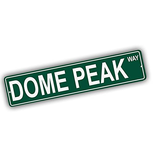Brotherhood Aluminum Street Sign for Dome Peak - Alaska Mountain Wall Decor