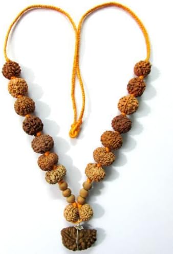 Rudraksha power Siddha Mala (1-14 Mukhi) Gori-Shankar,Ganesha Rudraksha