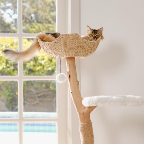 Image of Mau - Modern Wood Cat Tree Tower with Scratching Post, Aesthetic Cat Condo