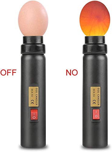 Lampe à Miroir Œufs Yosoo LED - Testeur Pour Incubateur - Haute Intensité - Prise EU - 220V