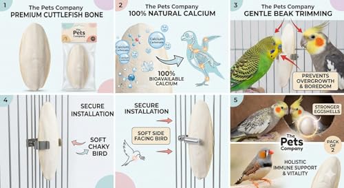 Image of The Pets Company Natural Cuttlefish Bone for Birds | High Calcium Supplement | for Finches, Budgies, Cockatiels, Lovebirds, Conures, African Grey Parrots, Macaws, Cockatoos & All Pet Birds - 100 GMS
