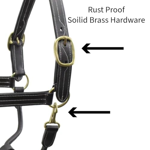Licol de cheval triple couture réglable en cuir supérieur