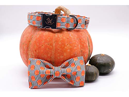 Elegantes Hundehalsband Mit Weicher Fliege - Halloween Verstellbares Halsband Mit Schleife - Haustierhalsband Geschenk für Kleine Weibliche Oder Männliche Hunde