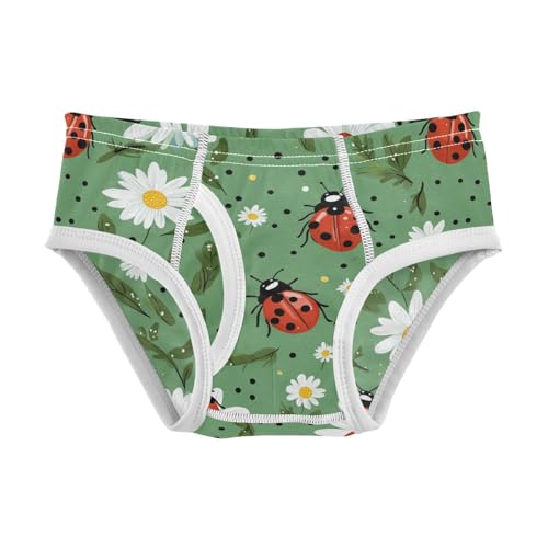 Wusikd Ladybugs Daisies Boys' Underwear Cotton Green Boys Briefs Soft Toddler Underwear 2T