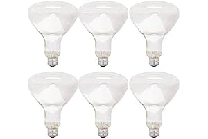 GE Lighting 65-Watt Indoor Floodlight Bulbs for Bright Illumination
