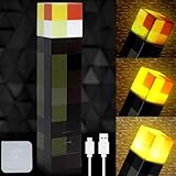Torch Lamp with Wall Mountable - 3 Lighting Levels LED Night Light, USB Rechargeable for Nightstand Torch Light, Costume Cosplay Nightlight, Kid's Birthday Party Living Room Bedroom Decorations