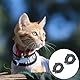 LONGHAO 2 pcs Zeckenhalsband für Katzen,Wasserdicht Hund Flohhalsband,Zeckenschutz Katze,Zeckenhalsband für Hunde und Katzen,VerstellbareinheitsgrößE,für Katzen und Hunde Aller Größen Und Rassen 62cm