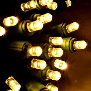 Holiday Essence 60 LED Mini Warm White Christmas Lights for Indoor and Outdoor Use Energy Efficient LED Bulbs with Green Wire