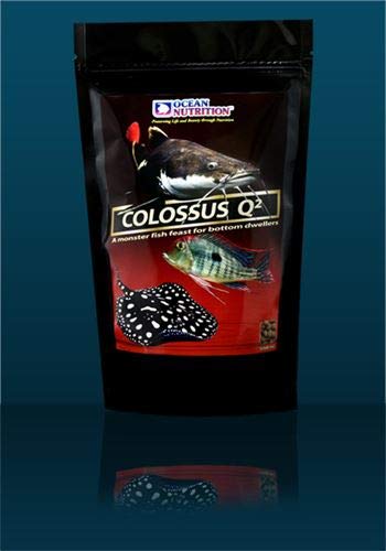 Ocean NutritionColossus Q2 200g