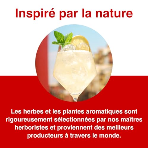 MARTINI Floreale Apéritif non alcoolisé, 75 cl / 750 ml, Élaboré avec des plantes aromatiques de qualité supérieure – vue 7
