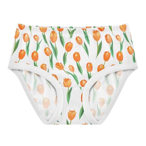 Flowers Floral Toddler Girls's Underwear 2T 2302220