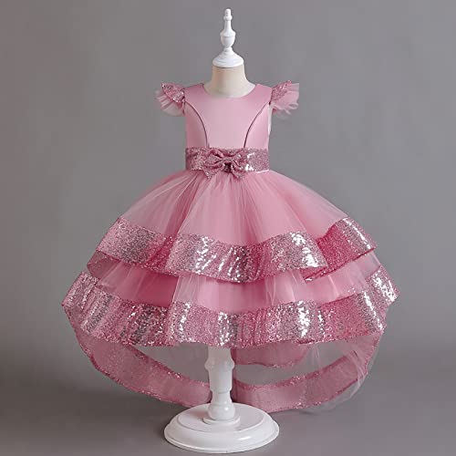 Girls Embroidery Princess Dress Kids Sleveless Wedding Birthday Party Long Tail Prom Gowns3