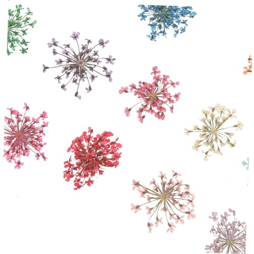 Kit de Flores Naturales Secas y Resina para Manualidades miniatura 6