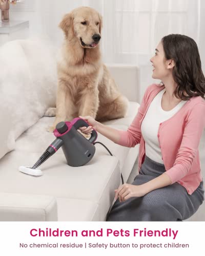 Schenley Handheld High-Pressure Steam Cleaner, Portable Steam Cleaner With 5-In-1 Multi-Surface Kit For Home Use, Multi-Purpose Steam Cleaner For Cleaning Upholstery, Car, Grout And Tile #TOP2