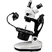 AmScope GM400TZ Trinocular Gemology Stereo Zoom Microscope, WH10x Eyepieces, 3.5X-90X Magnification, 0.7X-4.5X Zoom Objective, Halogen and Fluorescent Lighting, Inclined Pillar Stand, 110V-120V, Includes 0.5X and 2.0X Barlow Lenses