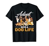 Adottare Un Cane Rifugio Per Cani Regalo