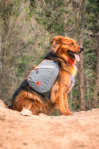Mountainsmith K9 Dog Pack