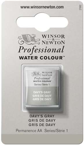 Winsor & Newton Professional - Vernici Ad Acquerello, Vivaci E Resistenti Alla Luce, Pigmenti Per Artisti, 1/2 Godet, Colore: Grigio Di Davy