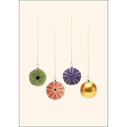 Image of Earth Sky + Water - Sea Urchin Christmas Notecard Set - 8 Blank Cards with Envelopes