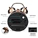 LINGSFIRE Alarm Clock for Bedroom, Silent Non Ticking Quartz Double Twin Bell Alarm Clock Battery Operated Loud Home Alarm Clock with Stereoscopic Dial Classic Desk Table Clock for Home Office (Gold)
