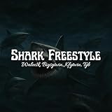 4634098 Records DK
