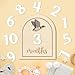 R HORSE Baby Monthly Milestone Cards, 14Pcs 3D Mallard Duck Wooden Monthly Milestone Discs with Number Cards, Newborn Months Signs Announcement Baby Shower Photo Props Gifts for Girls Boys