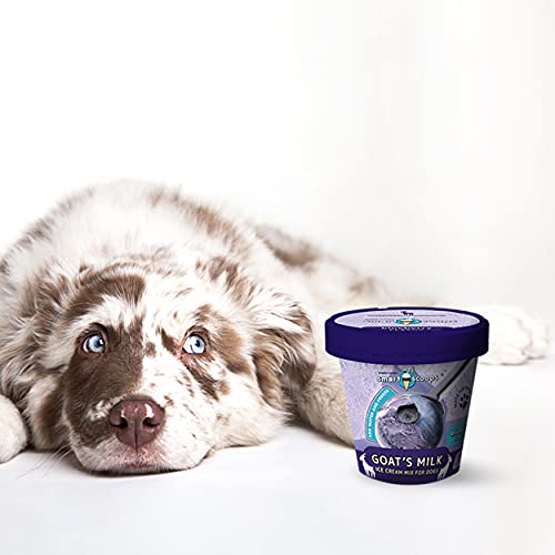Smart Scoops Goat's Milk Ice Cream Mix for Dogs (Blueberry