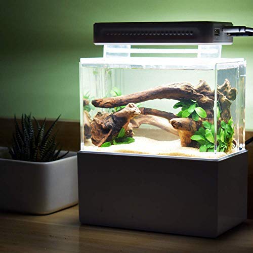 KHTO Mini plast akvarium bärbar skrivbord akvarium fiskskål med vattenfiltrering LED och tyst luftpump för dekor (svart med LED-lampa)