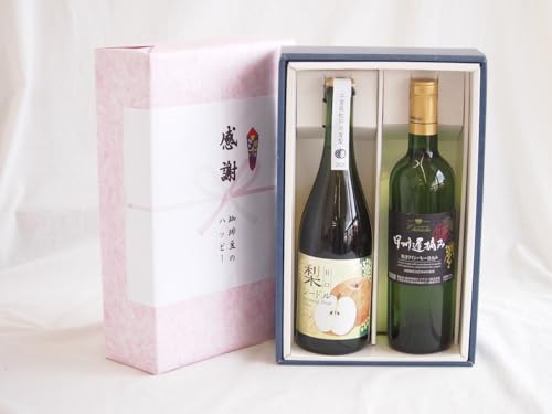 ӂ̑蕨{bNX N₩ȃr[FԎh̔~ƍYCZbg(bBxE  nÌC Ì(R)720mla̎R Ԏh̔~12x 720ml