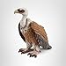 Schleich Wild Life, Animal Figurine, Animal Toys for Boys and Girls 3-8 Years Old, Vulture, Ages 3+