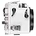 IKELITE 200DL Underwater Housing for Canon EOS 5D Mark III, 5D Mark IV, 5DS, 5DS R DSLR Cameras