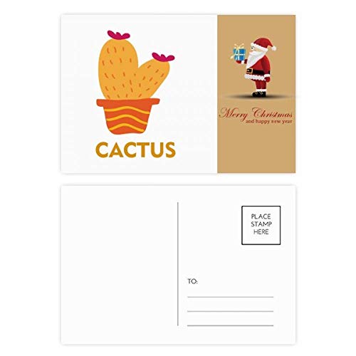 Lot de 20 cartes postales en pot de cactus orange pour correspondance