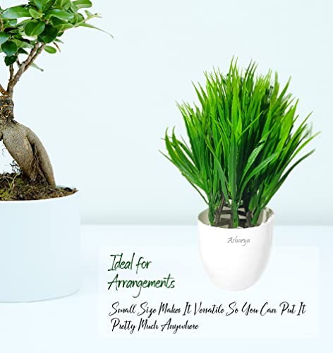 Image of Artificial Indoor Plant with Decorative Pot, Home Decor (Green long)