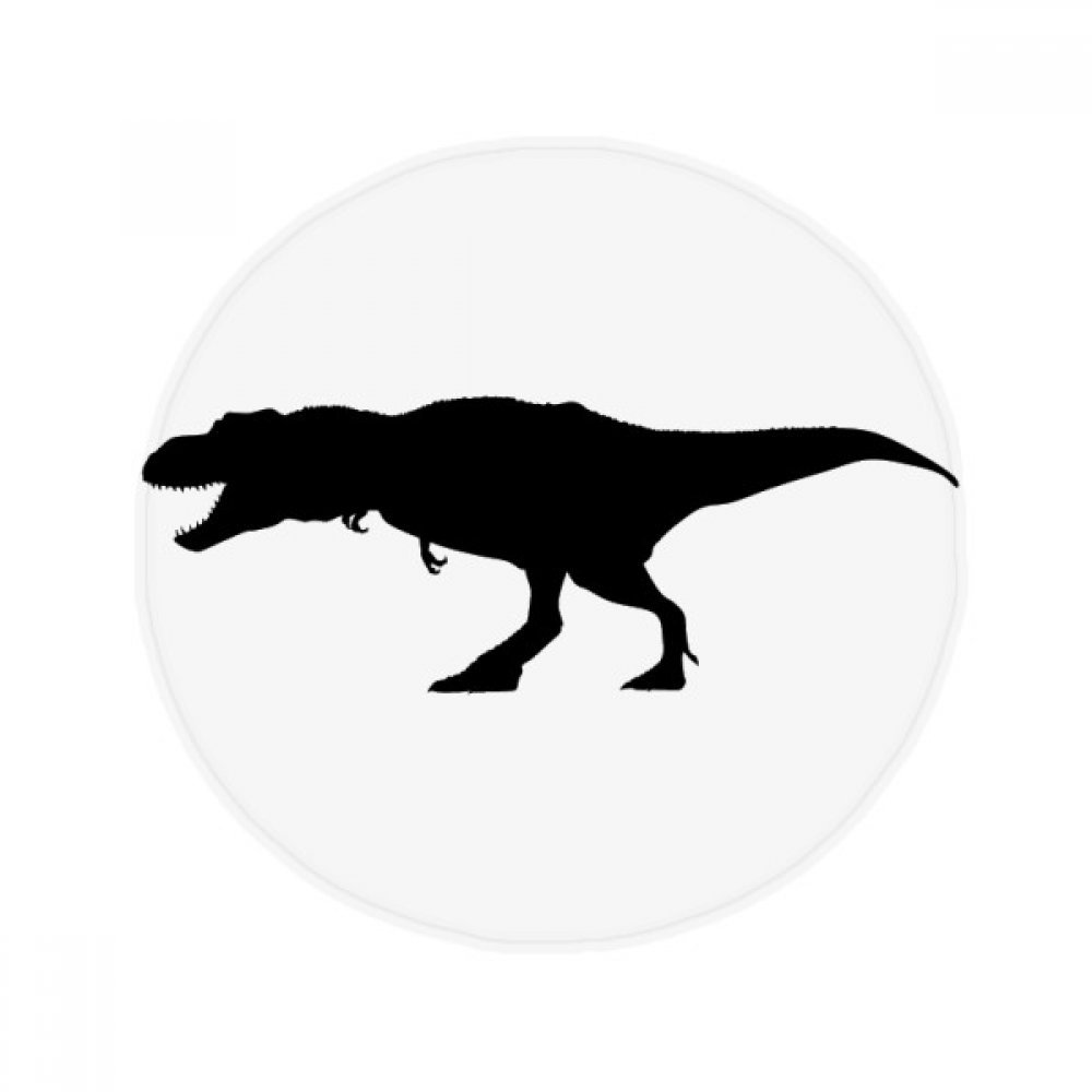 Tapis de bain rond os de dinosaure miniature anti-dérapant 80cm multicolore
