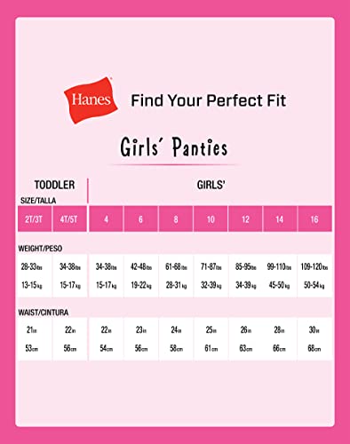 Hanes Baby Girls Toddler 10-Pack Pure Comfort Underwear, Available In And Hipster Briefs, Brief Assorted - 10 Pack, 2 3 Us #TOP4
