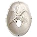 EVOTECH SCIENTIFIC Human Adult Skull Anatomical Model, Medical Quality, Life Size (9