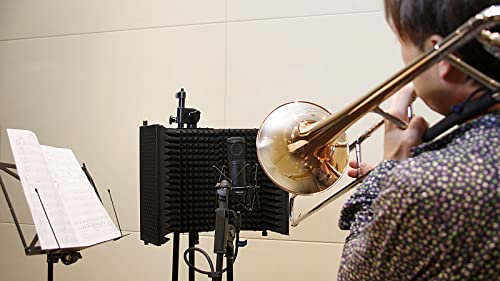 Microfone Condensador TM-280, TEAC