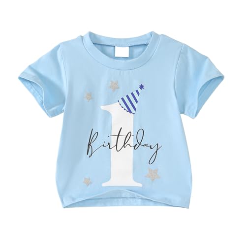 Baby Boy First Birthday Outfit 1st Birthday T-Shirt One Year Old Clothes First Birthday Gift Blue