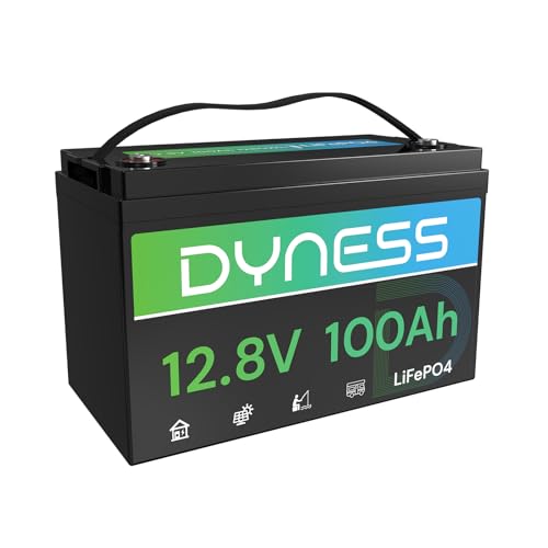 Dyness 12V 100Ah LiFePO4 Battery BCI Group 31 Lithium Battery with Low-Temp Cut Off Protection, A+ Grade Cell Built-in 100A BMS, Perfect for RV, Solar System, Off-Grid, Home Energy Storage