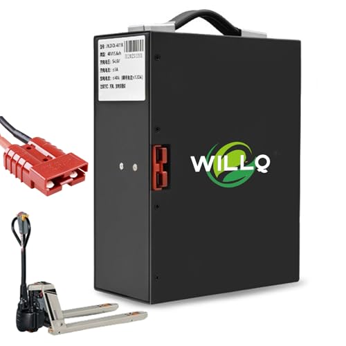 WILLQ Batería Carretilla elevadora eléctrica 48V 10,4Ah 15,6Ah 18Ah batería de Litio extraíble Repuesto para camión Carga y Descarga logística almacén, Piezas para Camiones,48v10.4ah
