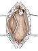 Imagen de GUESS bolso bandolera Emelie Logo Mini Tote Multi Logo blanco