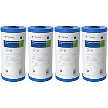 Pentair Pentek EP-BB Big Blue Carbon Water Filter, 10-Inch, Whole House Carbon Block Replacement Cartridge with Bonded Powdered Activated Carbon PAC Filter, 10" x 4.5", 5 Micron, Pack of 4