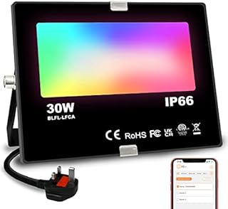 Jayool LED Floodlight Outdoor 300W Equivalent 3000LM, Smart RGB Flood Lights with APP, Colour Changing - Warm White 2700K - Timing - Scene- IP 66, UK 3-Plug, 1 Pack
