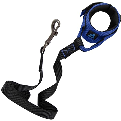 Gooby C[W[tBbgXgohT[t@[[V - u[A6tB[g - KȃnYt[[V Soht ^A^A^p