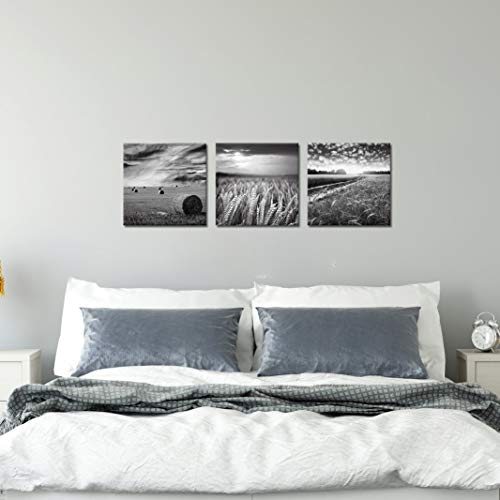 Skenoart 3 Piece Canvas Wall Art For Kitchens Black And White Wheat Field Picture Wall Decor Texas Countryside Landscape Painting Modern Home Farmhouse Decoration Stretched And Framed Ready To Hang #TOP4