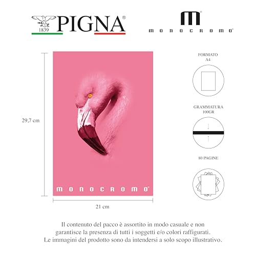 Pigna, Maxi-Heft einfarbig pink, A4, Innenpapier 100 g/m², 72 Seiten + Vorsatzblatt, Innenseiten 1R, liniert, verschiedene Motive, 10er-Packung